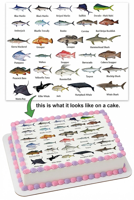 Ocean Life Fish Species Birthday ~ Edible 2D Fondant Birthday Cake/Cupcake Topper ~ D7947