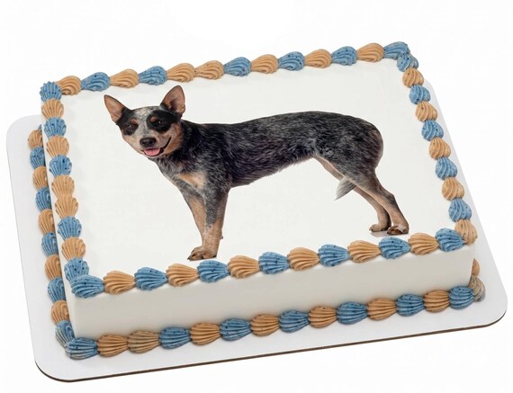 Blue Heeler Edible Cake Topper, Australian Cattle Dog Frosting Sheet Image, Heeler Dog Birthday ~ D6594
