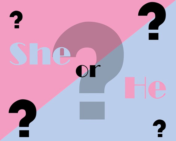 She or He? Gender Party Baby Shower Birthday ~ Edible 2D Fondant Birthday Cake/Cupcake Topper ~ D22086
