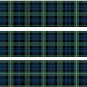 Green Plaid Birthday - Side Strips ~ Edible 2D Fondant Birthday Cake Side Toppers ~ D24692