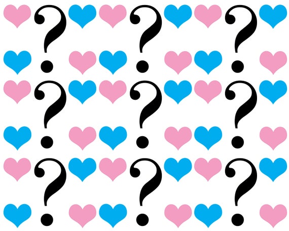 He or She? Gender Reveal Party Baby Shower - Side Strips ~ Edible 2D Fondant Birthday Cake Side Toppers ~ D22095