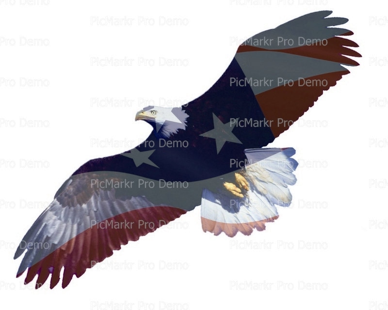 Flying American Bald Eagle - Edible Cake and Cupcake ...