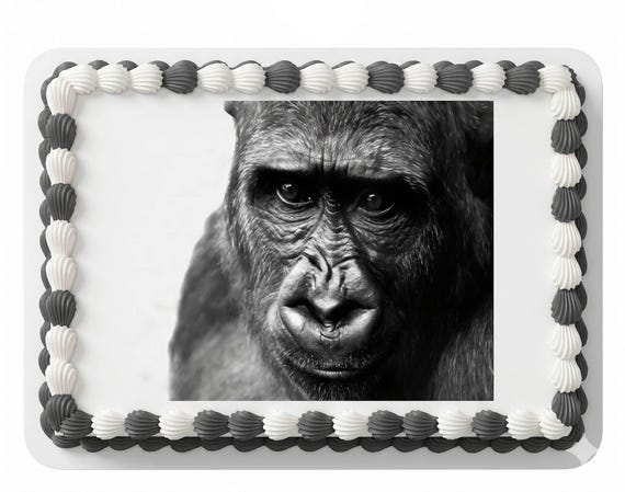 Gorilla Edible Cake Topper, Wildlife Photo Frosting Sheet Image, Gorilla Birthday Animal Lover ~ D24025
