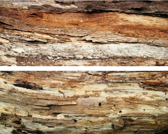 Old Barn Wood Birthday ~ Edible 2D Fondant Birthday Cake Side Toppers ~ D24171