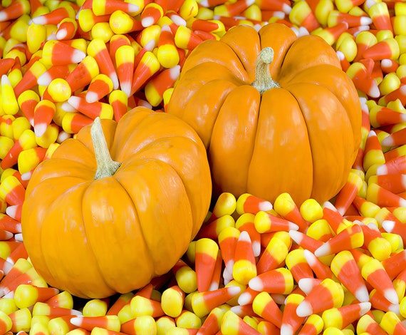 Pumpkins and Candy Corn Halloween ~ Edible 2D Fondant Birthday Cake/Cupcake Topper ~ D5865