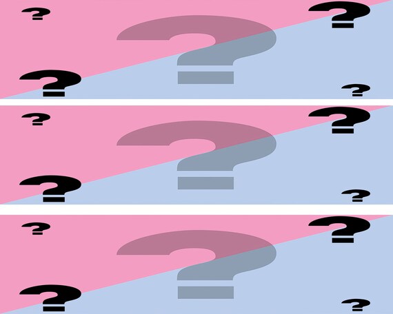 He or She? Gender Reveal Party Baby Shower - Side Strips ~ Edible 2D Fondant Birthday Cake Side Toppers ~ D22089