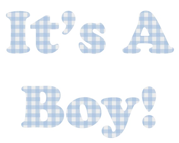 It's a Boy Blue Plaid Baby Shower Birthday ~ Edible 2D Fondant Birthday Cake/Cupcake Topper ~ D22796