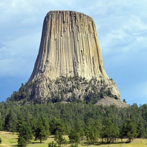 May include: A natural rock formation, the Devils Tower, rises dramatically against a blue sky. The tower's surface is a light tan color with vertical striations. Green trees and grass surround the base of the tower, creating a contrast of colors and textures.