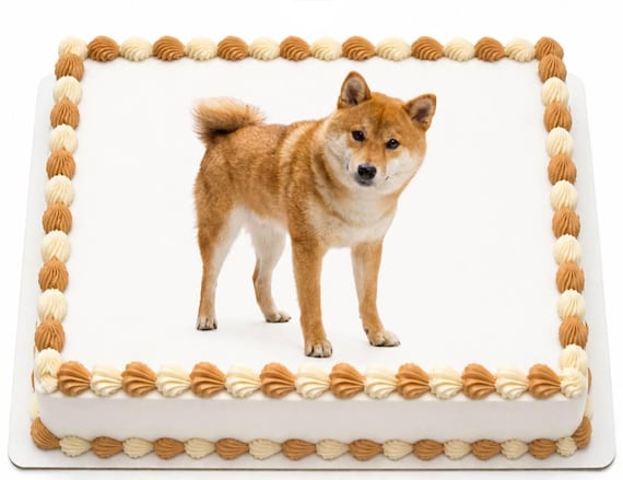 Shiba Inu Dog Edible Cake Topper, Puppy Breed Birthday Frosting Sheet Image, Pet Lover Gift ~ D4968