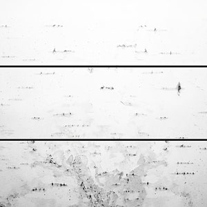 White Birch Bark Tree Wood Birthday ~ Edible 2D Fondant Birthday Cake Side Toppers ~ D258