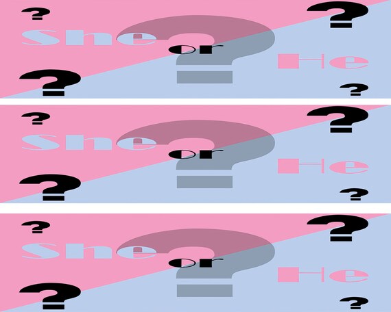 He or She? Gender Reveal Party Baby Shower - Side Strips ~ Edible 2D Fondant Birthday Cake Side Toppers ~ D22088