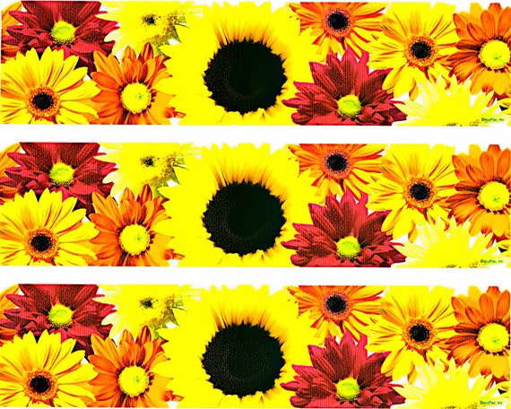 Fall Flowers - Birthday Background - Side Strips ~ Edible 2D Fondant Birthday Cake Side Toppers ~ D1444