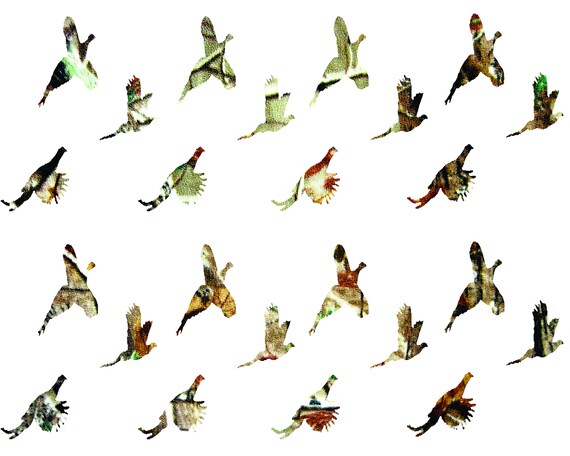 Camo Pheasant Hunting - Birthday Background - Side Strips ~ Edible 2D Fondant Birthday Cake Side Toppers ~ D22634