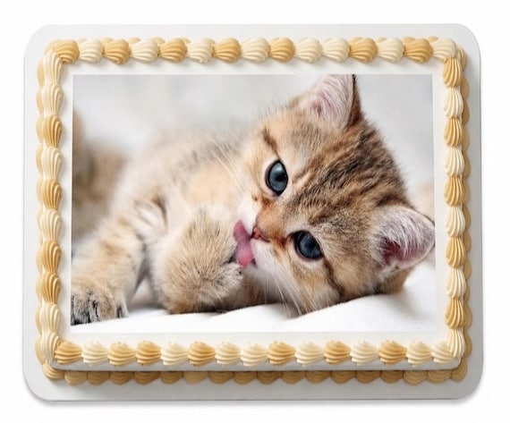 Cute Kitten Edible Cake Topper, Cat Birthday Frosting Sheet, Pet Party ~ D6478