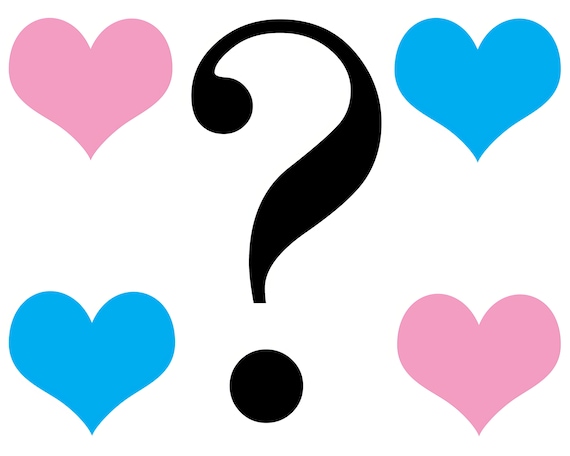 She or He? Gender Reveal Party Baby Shower Birthday ~ Edible 2D Fondant Birthday Cake/Cupcake Topper ~ D22094
