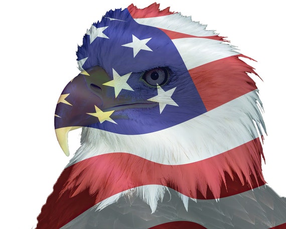 Bald Eagle American Flag ~ Edible 2D Fondant Birthday Cake/Cupcake Topper ~ D20898