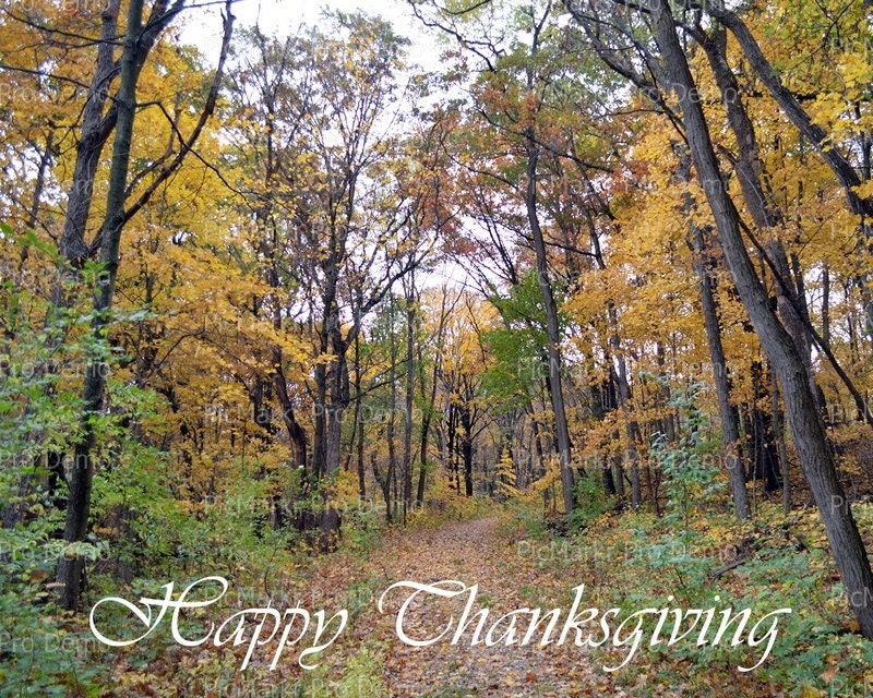 Thanksgiving christian lessons for preschoolers
