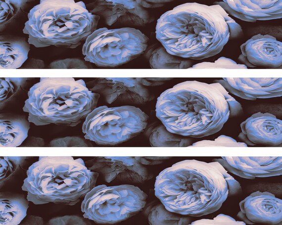 Blue Roses Birthday ~ Edible 2D Fondant Birthday Cake Side Toppers ~ D24181