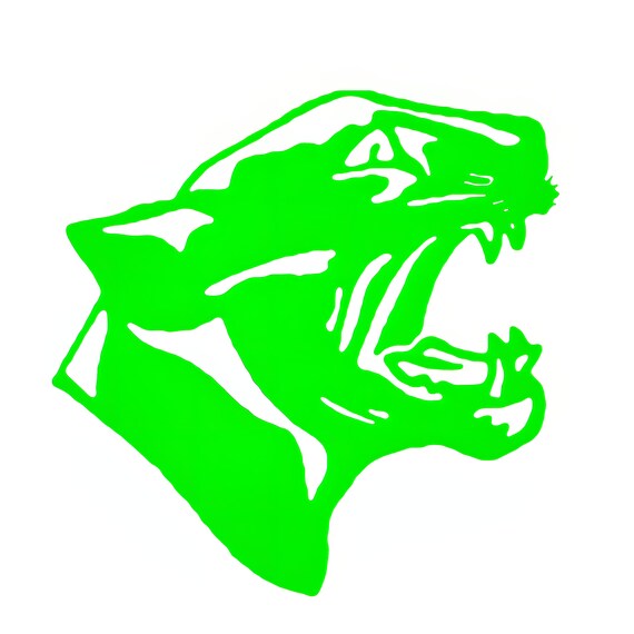 Green Panther Cougar Mascot Birthday ~ Edible 2D Fondant Birthday Cake/Cupcake Topper ~ D22465