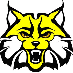 Yellow Bobcat Wildcat Mascot Birthday ~ Edible 2D Fondant Birthday Cake/Cupcake Topper ~ D22735