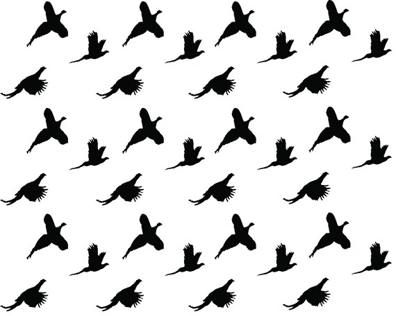 Pheasant Hunting - Birthday Background - Side Strips ~ Edible 2D Fondant Birthday Cake Side Toppers ~ D22624
