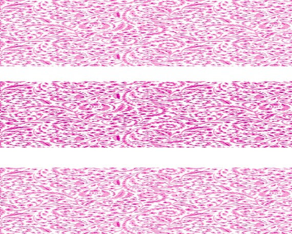 Pink Paisley - Birthday Background - Side Strips ~ Edible 2D Fondant Birthday Cake Side Toppers ~ D22131