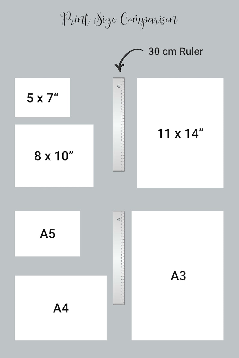 Pu&ograve; includere: Un confronto visivo di diverse dimensioni di stampa, tra cui 5x7 pollici, 8x10 pollici, 11x14 pollici, A5, A4 e A3. Un righello da 30 cm &egrave; incluso come riferimento.
