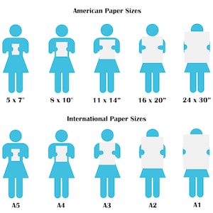 Pu&ograve; includere: Un grafico che confronta le dimensioni dei fogli di carta americani e internazionali. Il grafico utilizza figure stilizzate che tengono in mano fogli di carta per illustrare le dimensioni relative dei diversi formati di carta. Le dimensioni dei fogli di carta americani sono 5 x 7 pollici, 8 x 10 pollici, 11 x 14 pollici, 16 x 20 pollici e 24 x 30 pollici. Le dimensioni dei fogli di carta internazionali sono A5, A4, A3, A2 e A1.