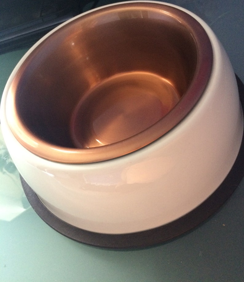 Personalized Stainless Steel Dog Bowl Etsy
