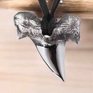 May include: A silver shark tooth pendant on a black leather cord. The tooth is polished and has a sharp point.