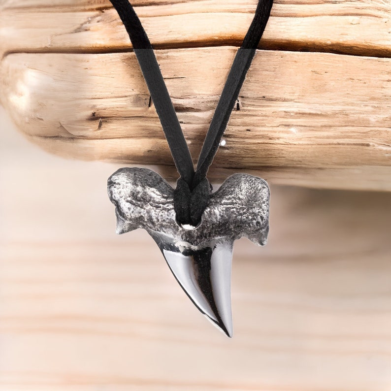 May include: A silver shark tooth pendant on a black leather cord. The tooth is polished and has a sharp point.