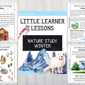 Winter Nature Study Worksheets