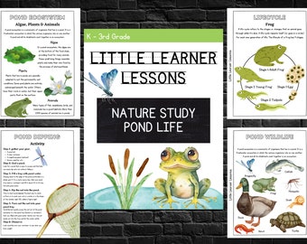 Printable Pond Life Worksheets for Kids | Nature Study Fun