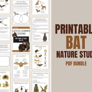 Puede incluir: Un conjunto de páginas educativas imprimibles para un estudio de la naturaleza sobre murciélagos. Las páginas incluyen ilustraciones de murciélagos, diagramas y texto. El título "Printable Bat Nature Study PDF Bundle" se muestra en texto marrón.