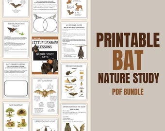 Utskrivbar studie av fladdermusenheter | Nattdjur | Hemundervisning i naturvetenskap | Naturstudier | Höstaktiviteter