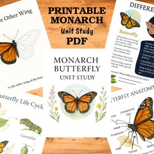 Könnte beinhalten: Druckbares Monarchfalter-Einheitsstudien-PDF. Lehrmaterialien zeigen Illustrationen von Schmetterlingen, darunter ein Diagramm der Schmetterlingsanatomie, eine Lebenszykluskarte und einen Vergleich von Schmetterlingen und Motten. Die Arbeitsblätter sind für Bildungszwecke konzipiert.