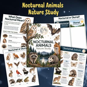 May include: A Nocturnal Animals Nature Study educational set featuring a central book cover with an owl, bat, fox, raccoon, and opossum illustration, surrounded by activity sheets with animal images, text, and sorting charts for learning.