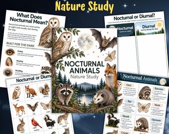 May include: A Nocturnal Animals Nature Study educational set featuring a central book cover with an owl, bat, fox, raccoon, and opossum illustration, surrounded by activity sheets with animal images, text, and sorting charts for learning.