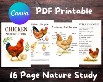 Chicken Nature Study Printable | Homeschool Science Unit (PDF)