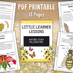 May include: A 13-page PDF printable educational set titled Little Learner Lessons Nature Study Pollinators. The pages feature illustrations of wind pollination, garden pollinators like hummingbirds and bats, flower anatomy, and honey bee anatomy.
