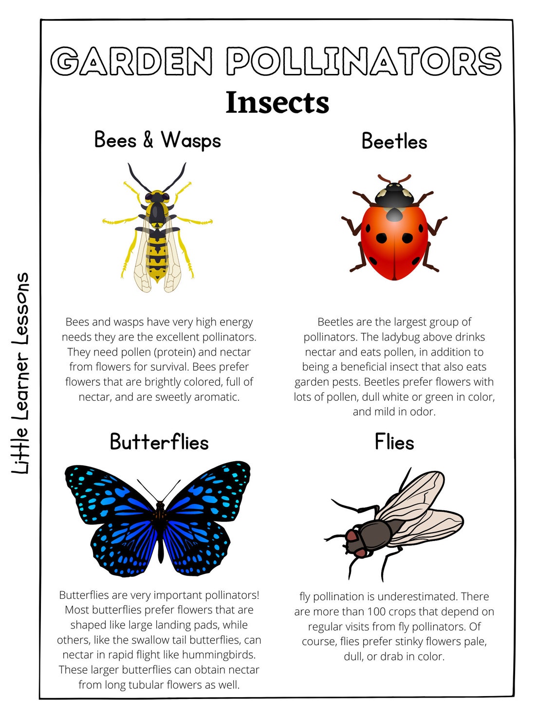 Printable Pollinator Nature Study Worksheets - Etsy