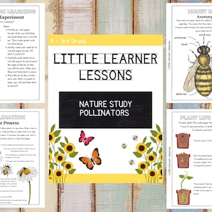 Printable Pollinator Nature Study Worksheets