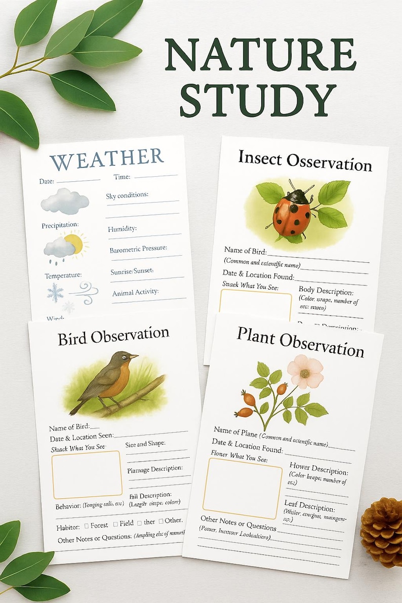 Kids Nature Journal | Charlotte Mason Inspired, Outdoor Study (PDF) - Etsy