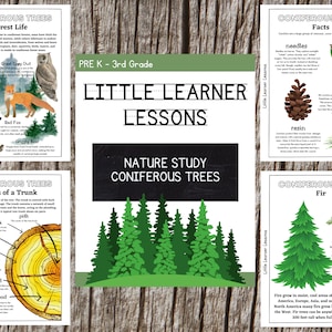 Printable Coniferous Tree Nature Study Worksheets