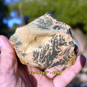 May include: A natural stone specimen with a beige and pink base color, featuring intricate black dendritic patterns resembling tree-like formations. The stone measures 3x3x3 inches.