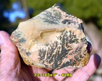 YELLOW TREE Dendritic Jasper: Display Cutting or Tumbling Rough * Nice Moss Patterns * WY * Choice of 13