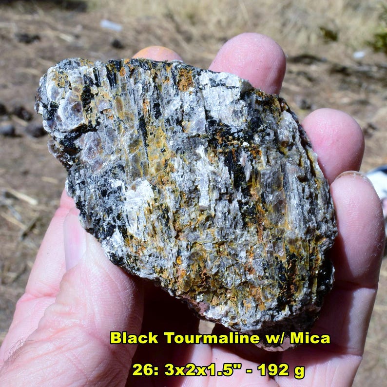 May include: A rough, natural black tourmaline stone with mica inclusions. The stone has a layered appearance with black, white, and gold-colored mineral deposits. The text "Black Tourmaline w/ Mica" is visible. The stone measures 3x2x1.5 inches.