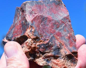 PETRIFIED PALM Tumbling Cutting Rough: Boron, CA * Choice of 4 Sizes * species Palmoxylon