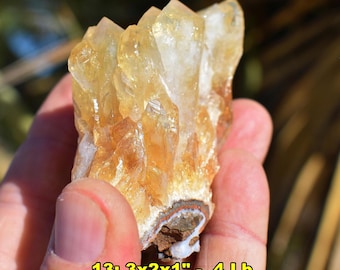 3-5" CITRINE Crystal Clusters Brazil: Choice of 12 Orange Quartz Geodes, 3-5" Mineral Specimens, November Birthstone
