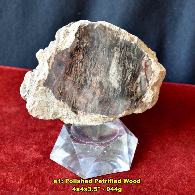 May include: Polished petrified wood specimen, 4x4x3.5 inches, with a striking pattern of red, black, and white swirls. The stone is displayed on a clear, faceted stand. The text on the image reads: "e1: Polished Petrified Wood 4x4x3.5" - 944g."
